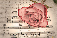 Pencil Pixels - Music with Love from Rose