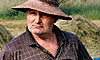 Pp Autumn Effect - Online Image