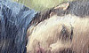 Pp Rain Effects - Wallpaper