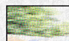 Pp Texture and Borders Script - PR Photo