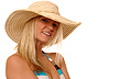 Pp Color Caricature example image
