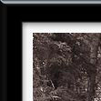 Photoshop Frame Actions - PencilPixels.com