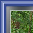 Photoshop Frame Actions - PencilPixels.com