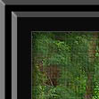 Photoshop wooden Frame Actions and more- PencilPixels.com