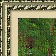 Photoshop Frames - PencilPixels.com