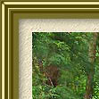 Photoshop Frame Actions - PencilPixels.com - Metal Frame Styles