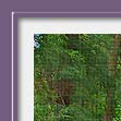 Photoshop Frame Actions - PencilPixels.com